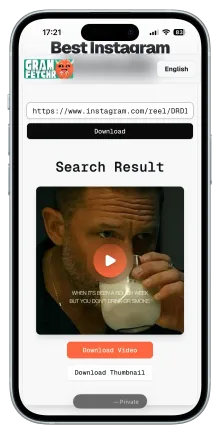 Step 3 - Download the Reels Video