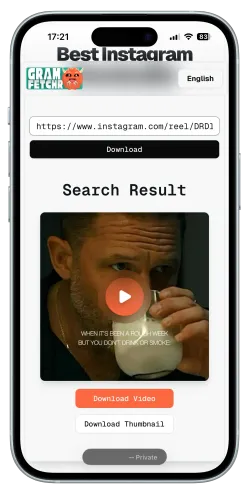 Step 3 - Download the Reels Video
